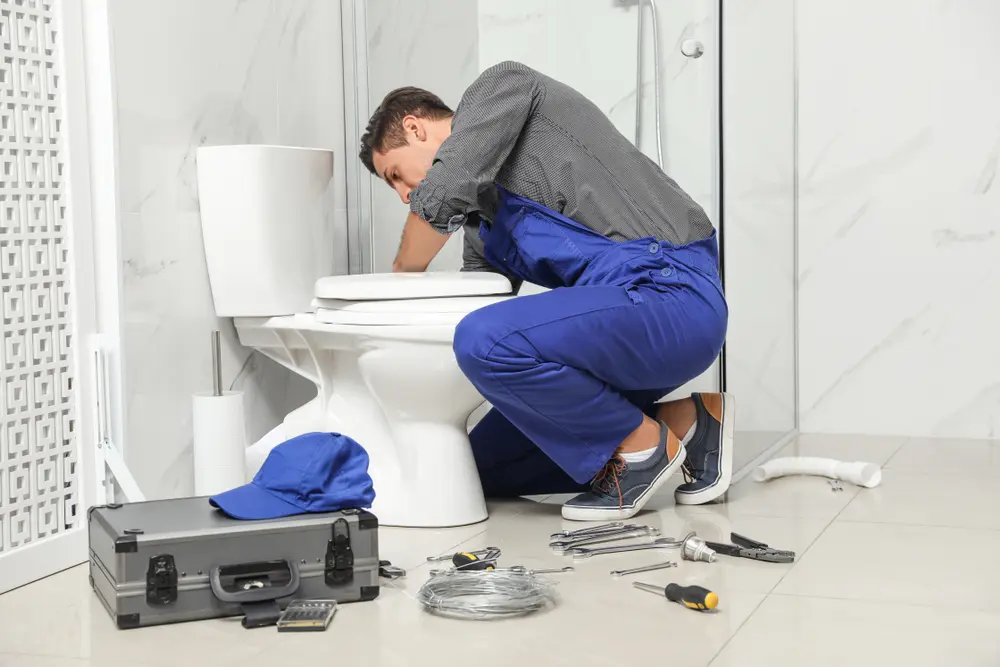 Toilet Installation in Las Lomas